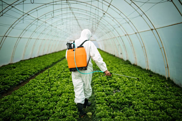 Pest Prevention Services in Moraga, CA
