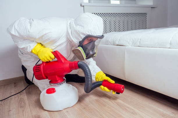 Pest Control Cost in Moraga, CA